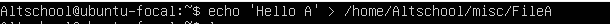 Using the Echo Command
